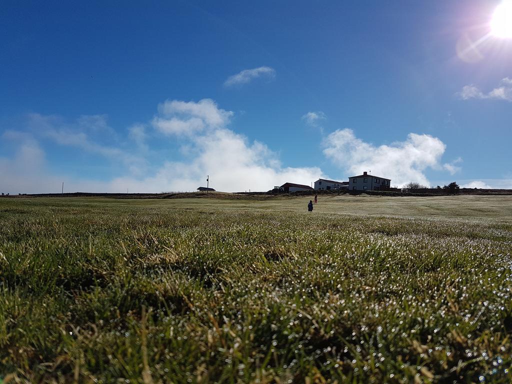 Grasteinn Guesthouse Þórshöfn Buitenkant foto