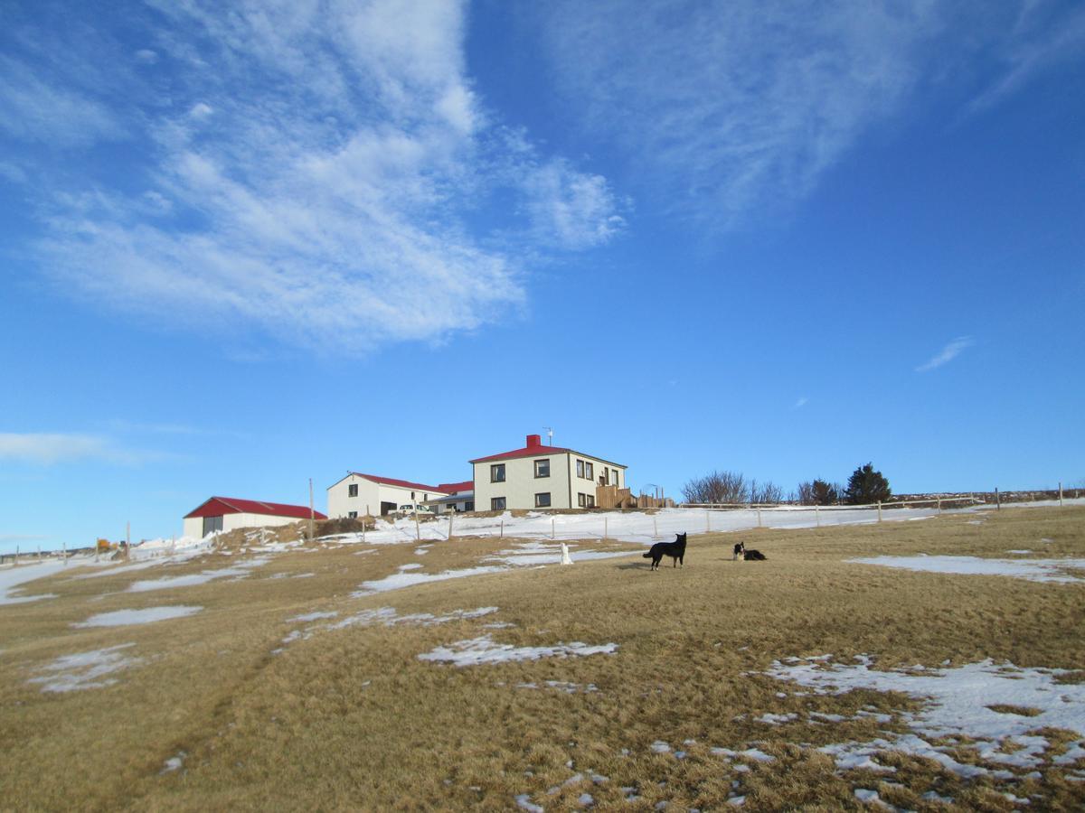Grasteinn Guesthouse Þórshöfn Buitenkant foto