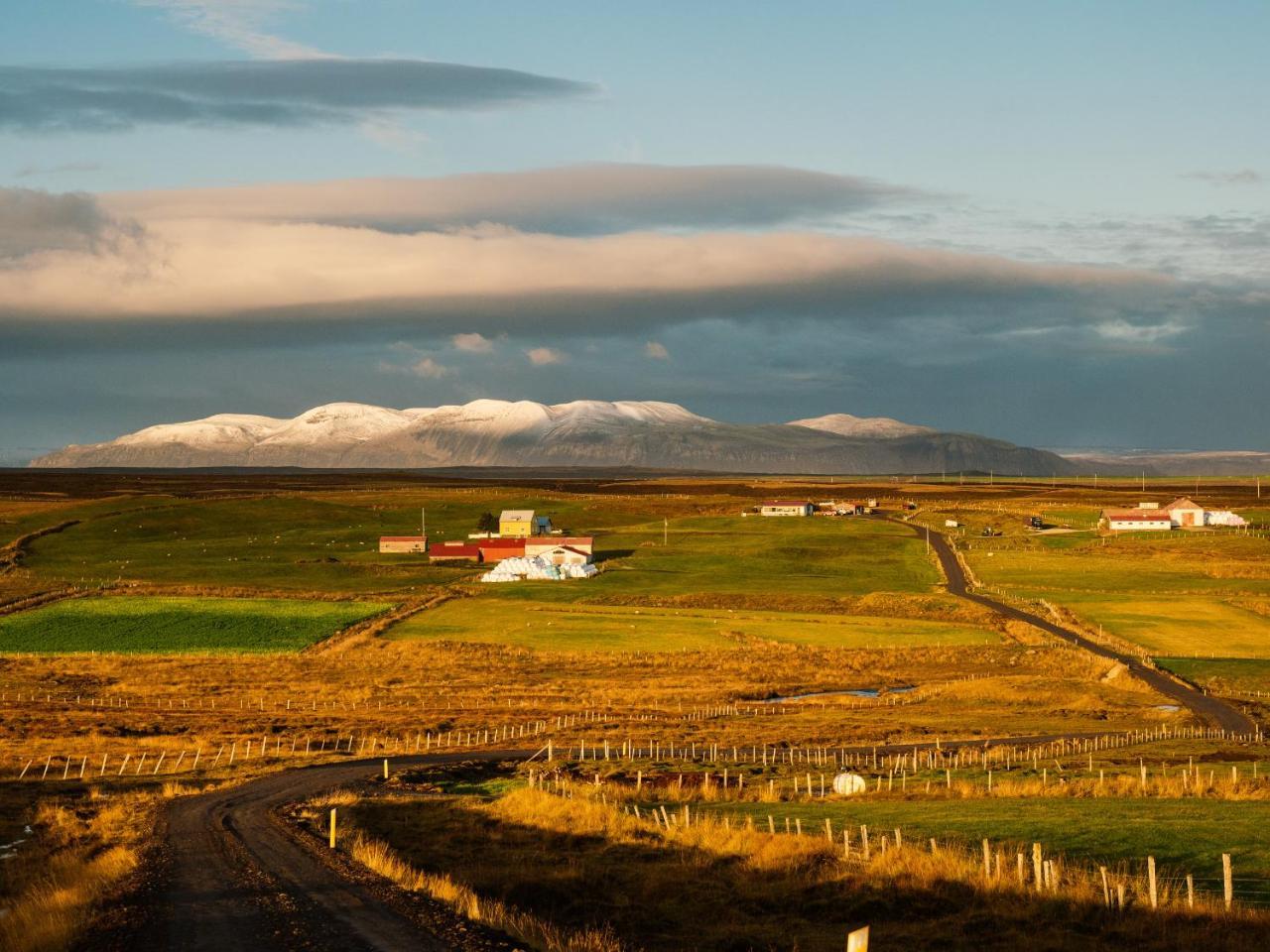 Grasteinn Guesthouse Þórshöfn Buitenkant foto
