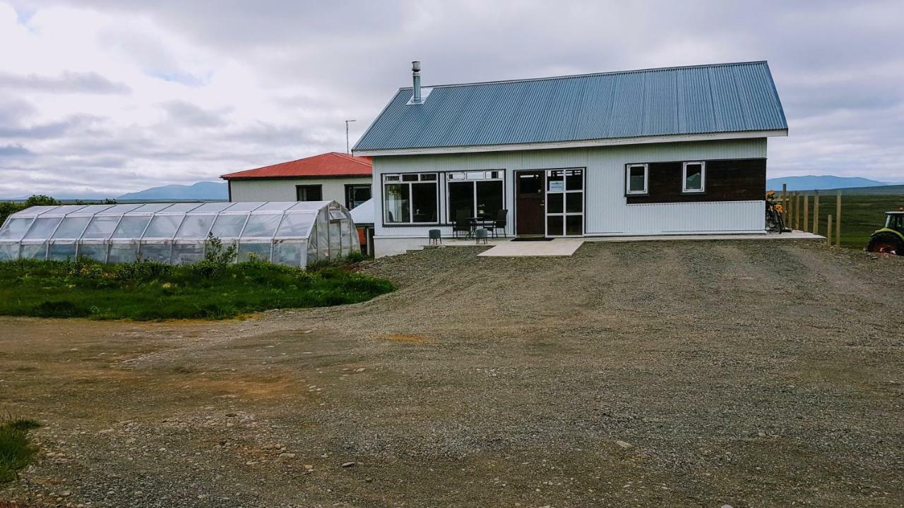 Grasteinn Guesthouse Þórshöfn Buitenkant foto